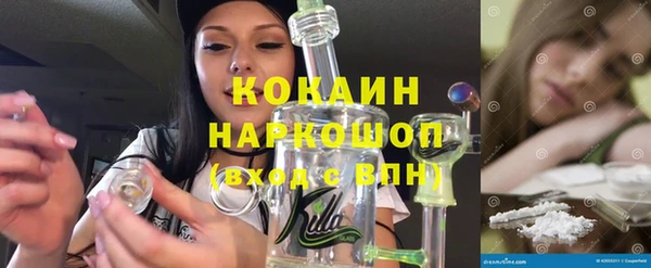 сатива Волоколамск