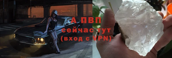 сатива Волоколамск