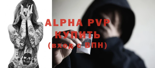 сатива Волоколамск