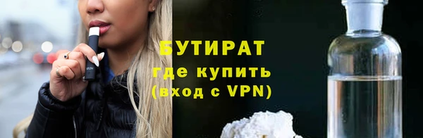 сатива Волоколамск
