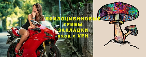 сатива Волоколамск