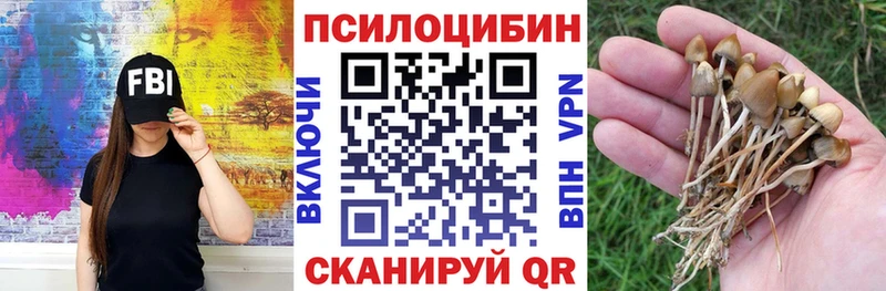 Купить где  Пятигорск  Галлюциногенные грибы GOLDEN TEACHER 